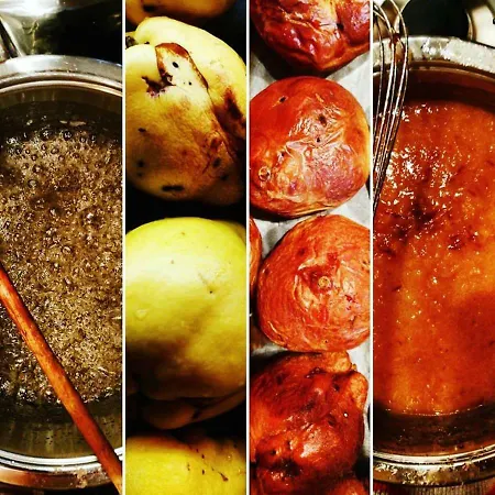 Elementa Bed & Breakfast 3*