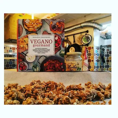 Elementa Конверсано