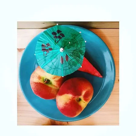 Elementa 콘베르사노