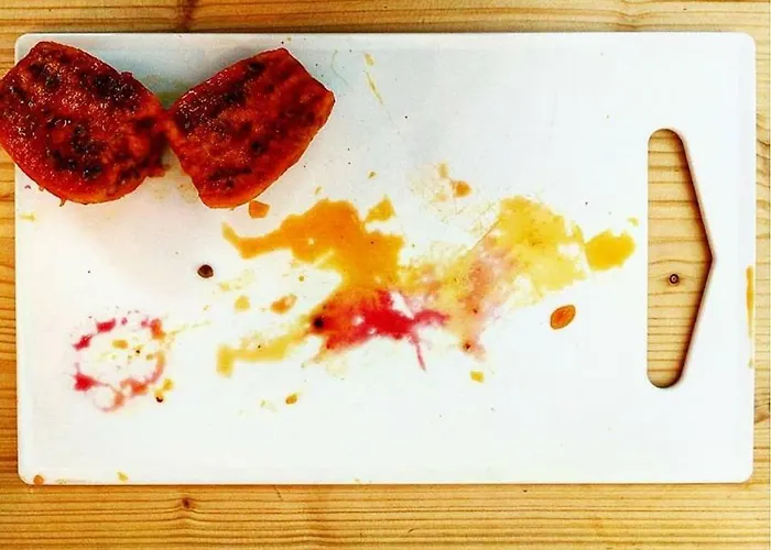 Bed & Breakfast Elementa