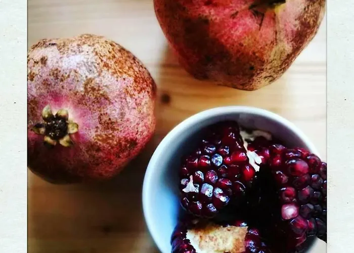 Elementa Bed & Breakfast 3*