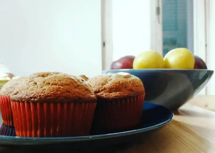 Bed & Breakfast Elementa